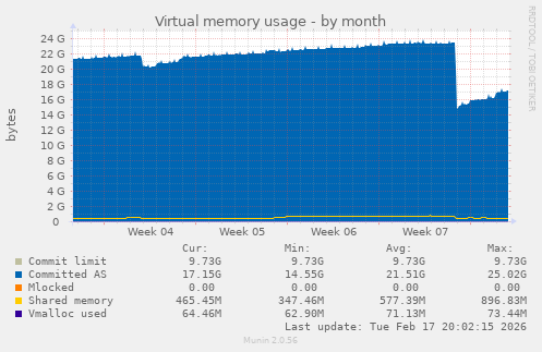 Virtual memory usage